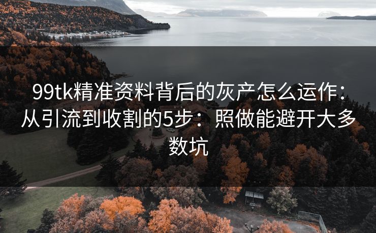 99tk精准资料背后的灰产怎么运作：从引流到收割的5步：照做能避开大多数坑