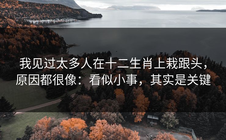 我见过太多人在十二生肖上栽跟头，原因都很像：看似小事，其实是关键